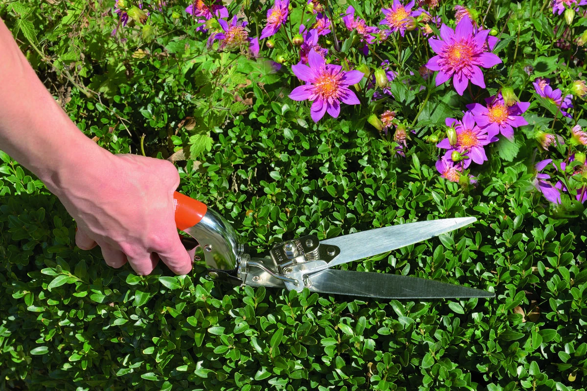 Bahco 3 padėčių žolės žirklės su plastikinėmis rankenomis 355 mm