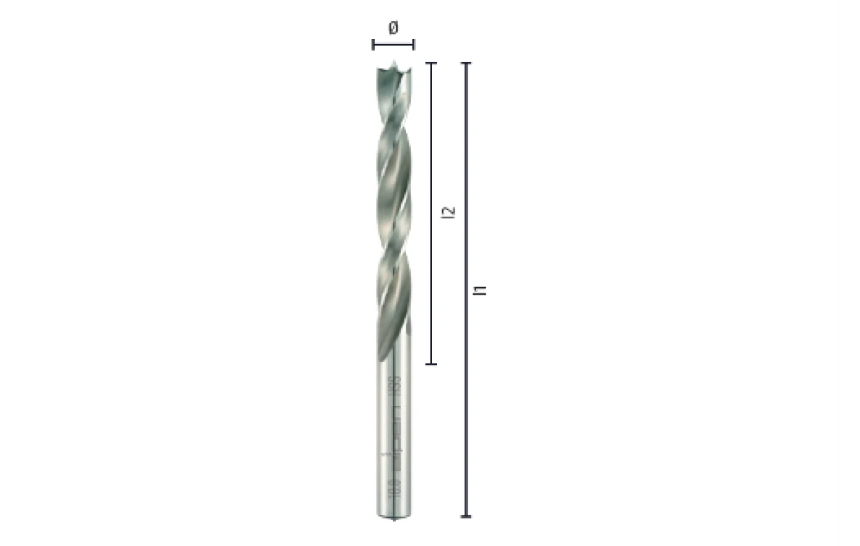 sukamasis grąžtas medienai 10 mm/133 mm, HSS Profi Holz Alpen [0062001000100]