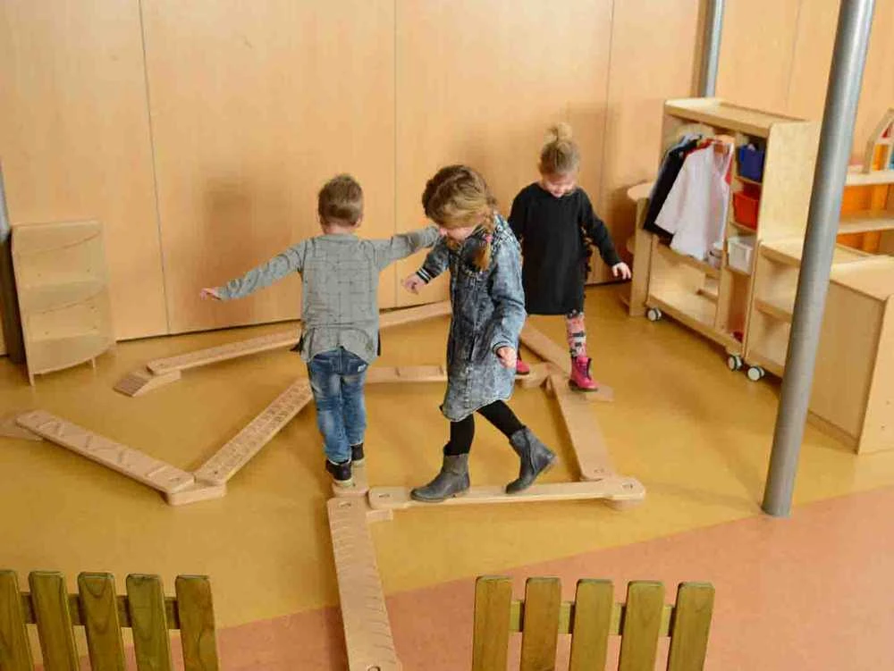 Medinis pusiausvyros ir balanso treniravimo rinkinys MASTERKIDZ