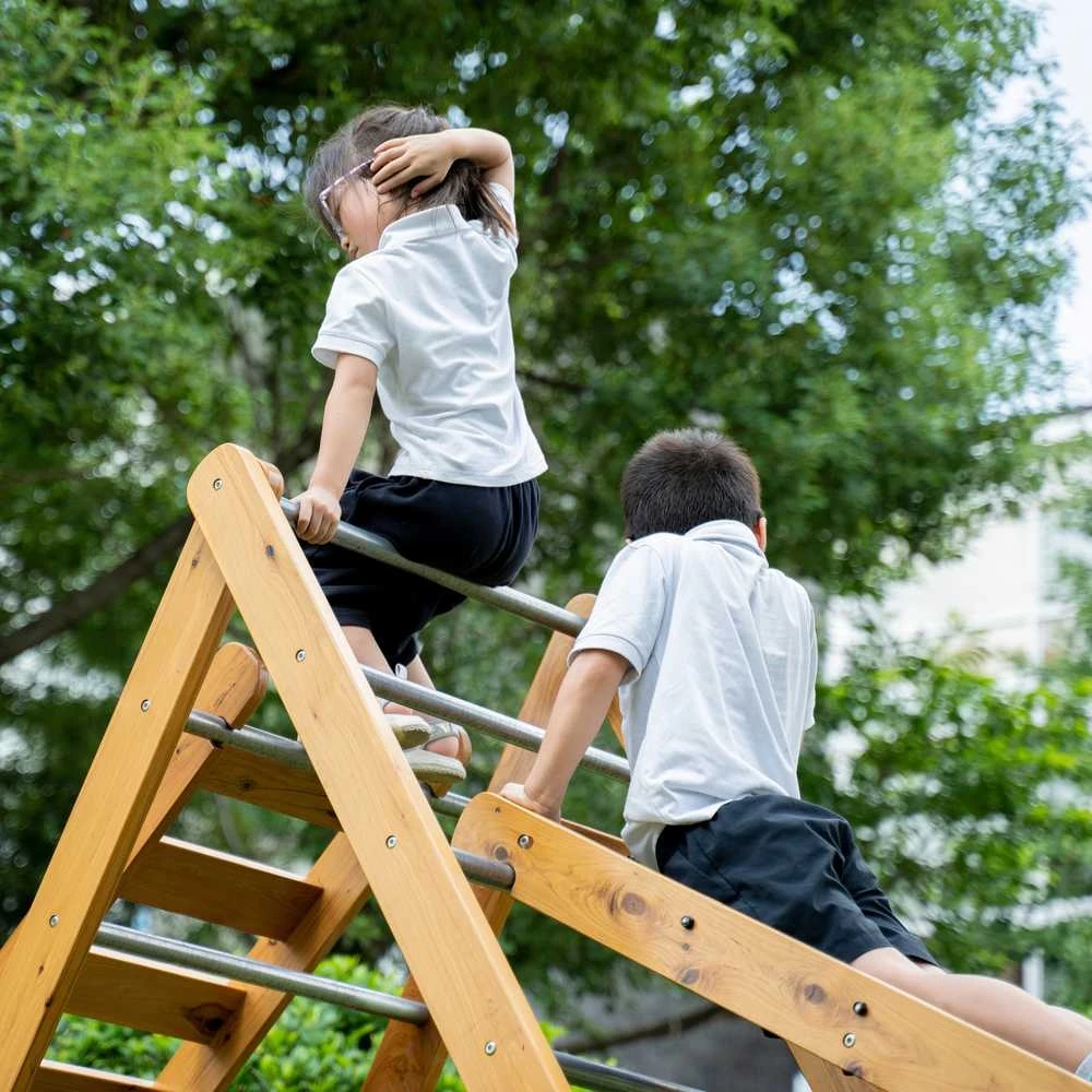 CLASSIC WORLD EDU XL medinis laipynės rinkinys Montessori