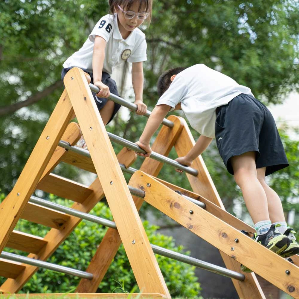 CLASSIC WORLD EDU XL medinis laipynės rinkinys Montessori