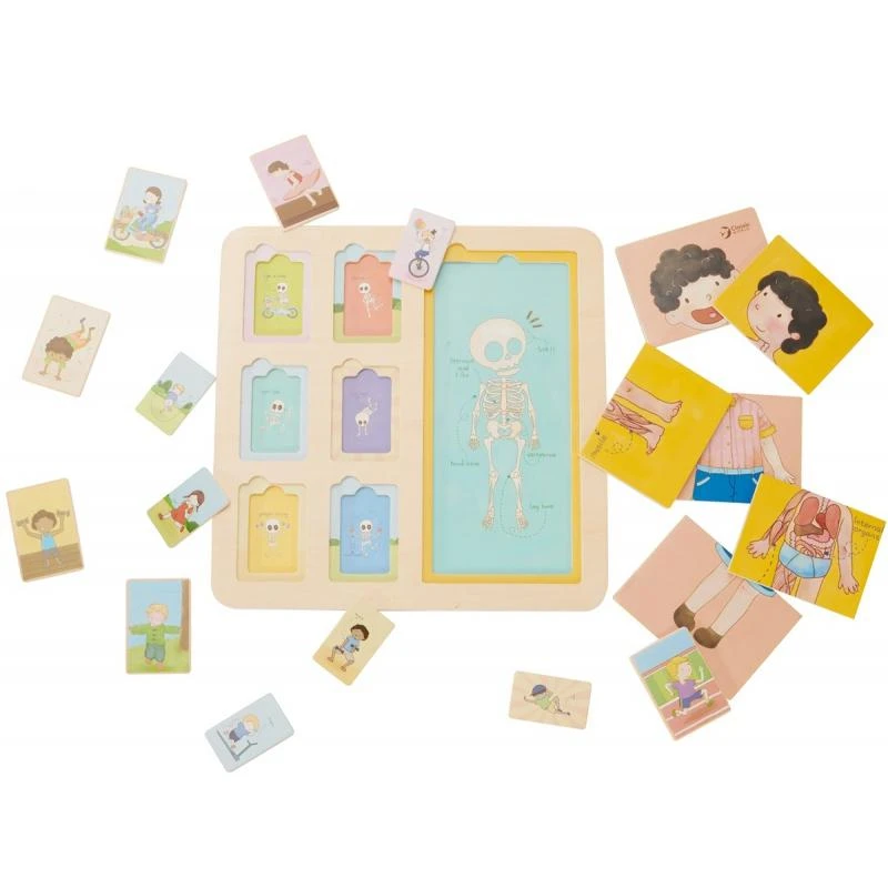 „Classic World Edukacinė“ žmogaus kūno dėlionė, 19 dalių. Montessori dėlionė „Klockai“
