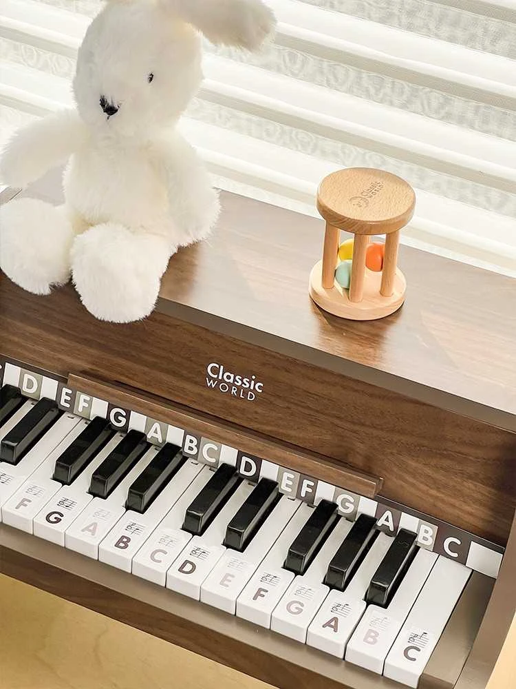 ClassicWorld Medinis vaikiškas pianinas su mokomąja knygele Classic World