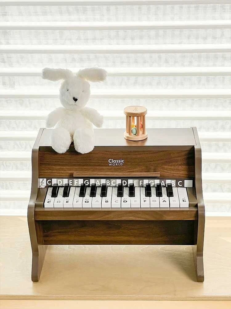 ClassicWorld Medinis vaikiškas pianinas su mokomąja knygele Classic World