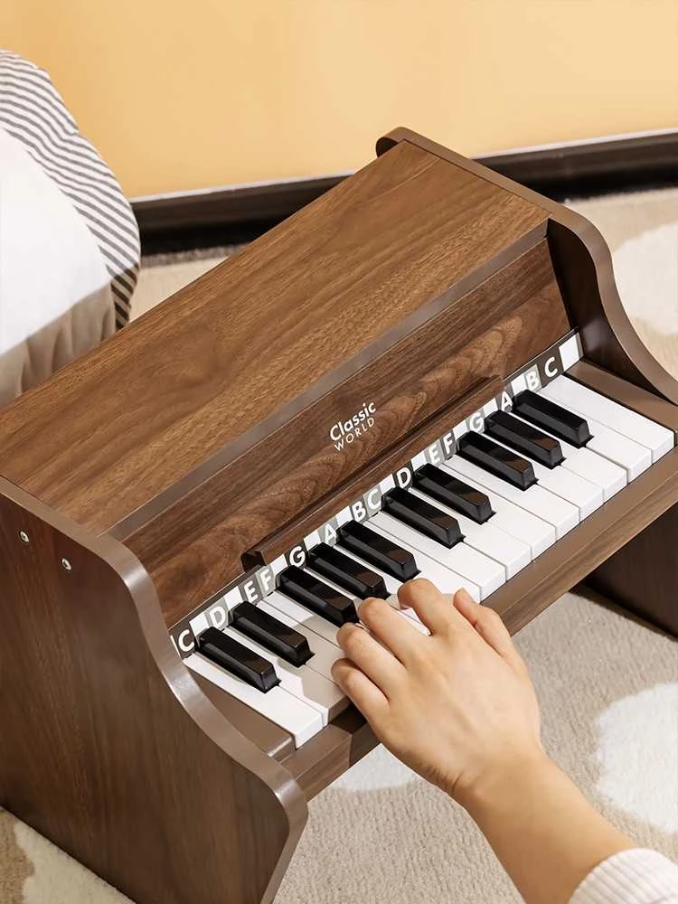 ClassicWorld Medinis vaikiškas pianinas su mokomąja knygele Classic World