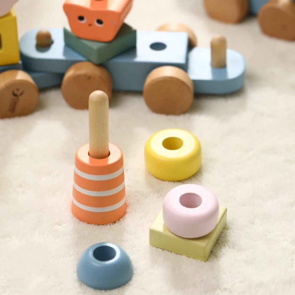 CLASSIC WORLD medinė Montessori traukinuko dėlionė Vandenyno pasaulis