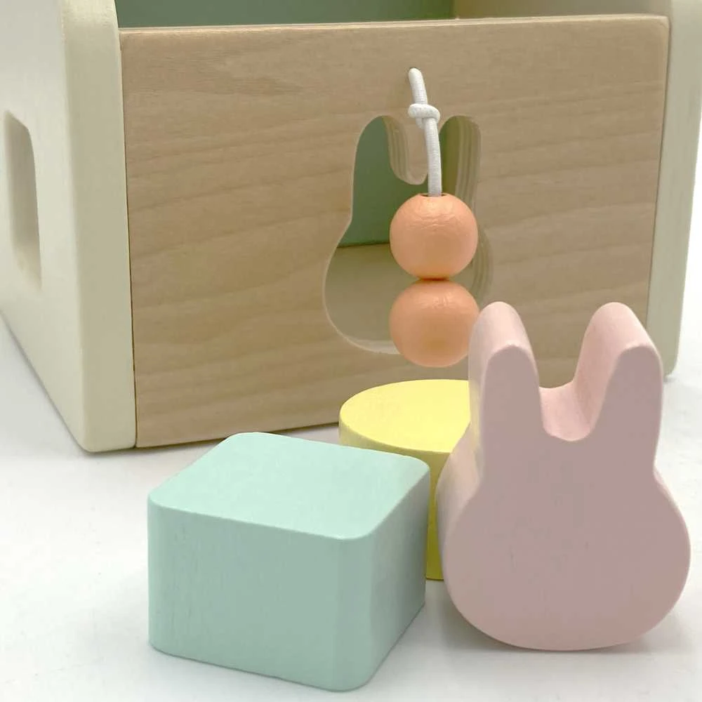 Pastelinis lavinamasis rinkinys kūdikiams CLASSIC WORLD 12–18 mėn