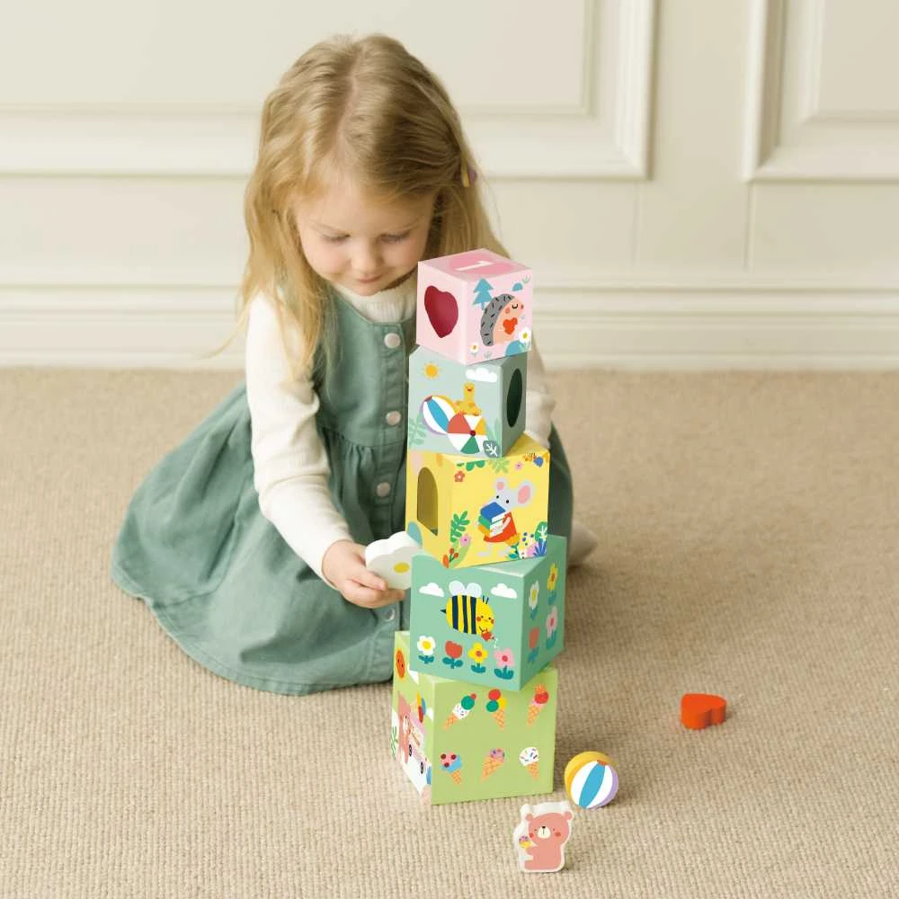 Dėlionė CLASSIC WORLD CW20222 Puzzle Cube Box Miško piramidė 10 vnt.