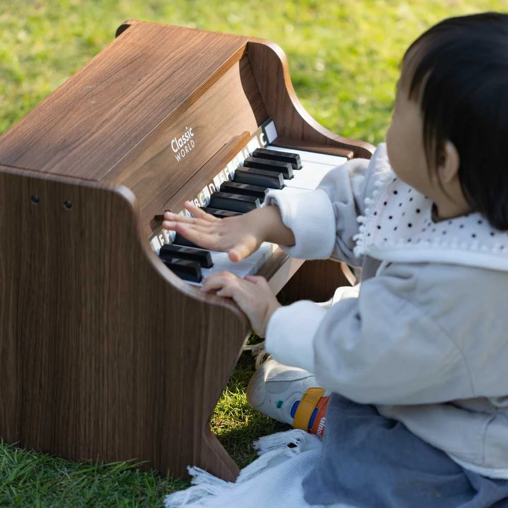 ClassicWorld Medinis vaikiškas pianinas su mokomąja knygele Classic World