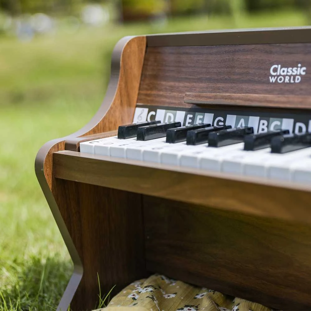 ClassicWorld Medinis vaikiškas pianinas su mokomąja knygele Classic World