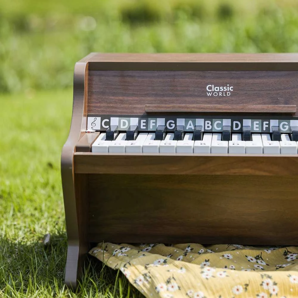ClassicWorld Medinis vaikiškas pianinas su mokomąja knygele Classic World