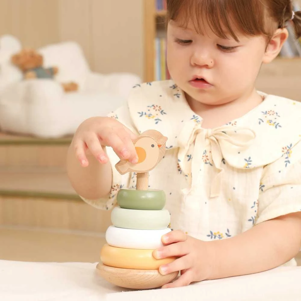 Dėlionė Viga Toys Medinė edukacinė piramidė VIGA PolarB