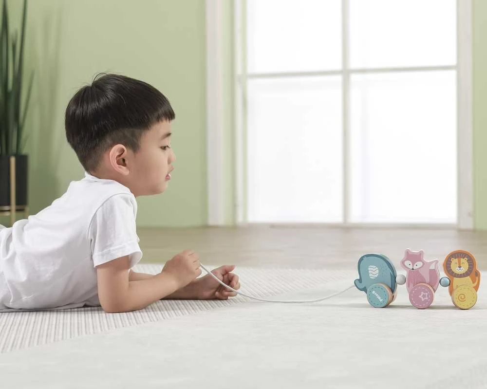 Medinis žaislinis gyvūnas traukia viga žaislus Montessori