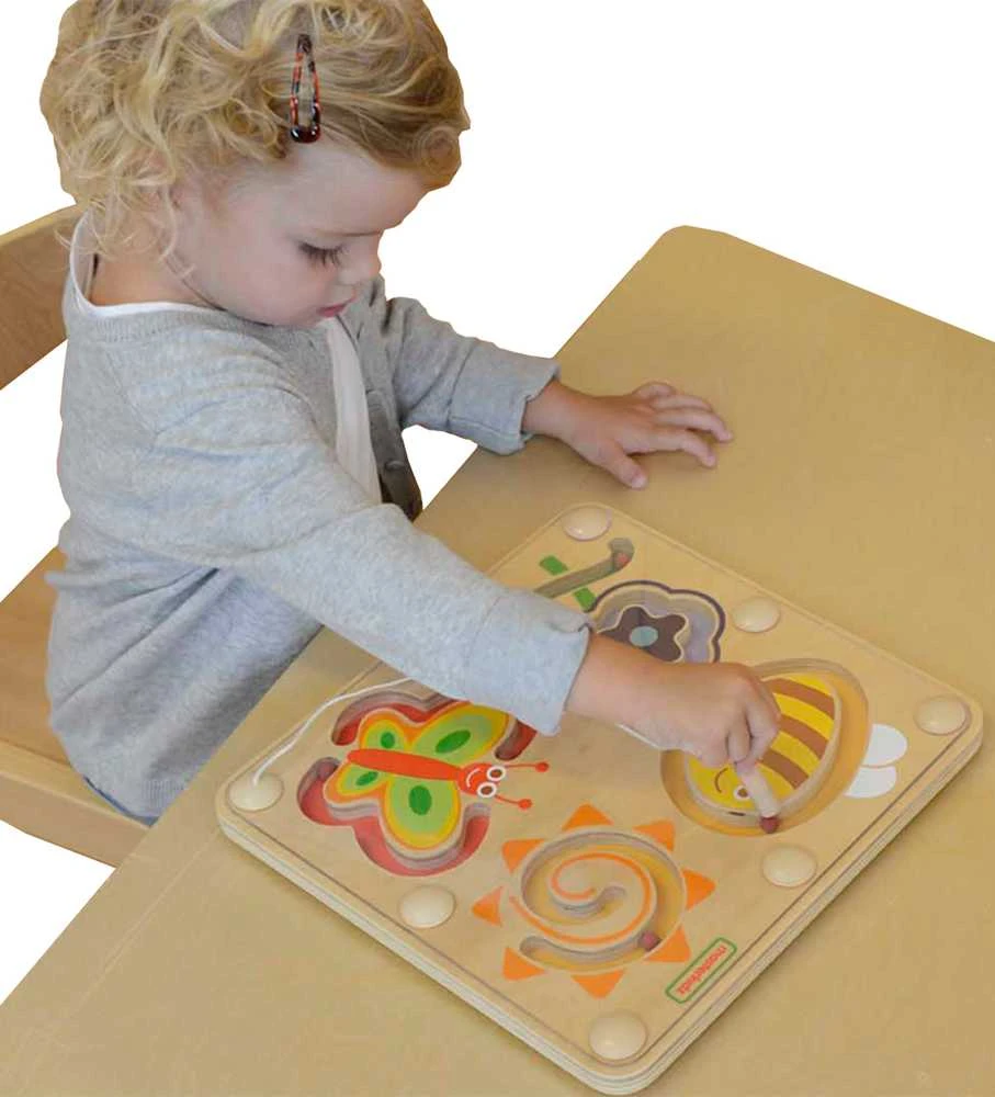 Magnetinis labirintas vabzdžių pasaulis MASTERKIDZ
