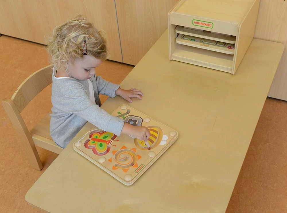 Magnetinis labirintas vabzdžių pasaulis MASTERKIDZ