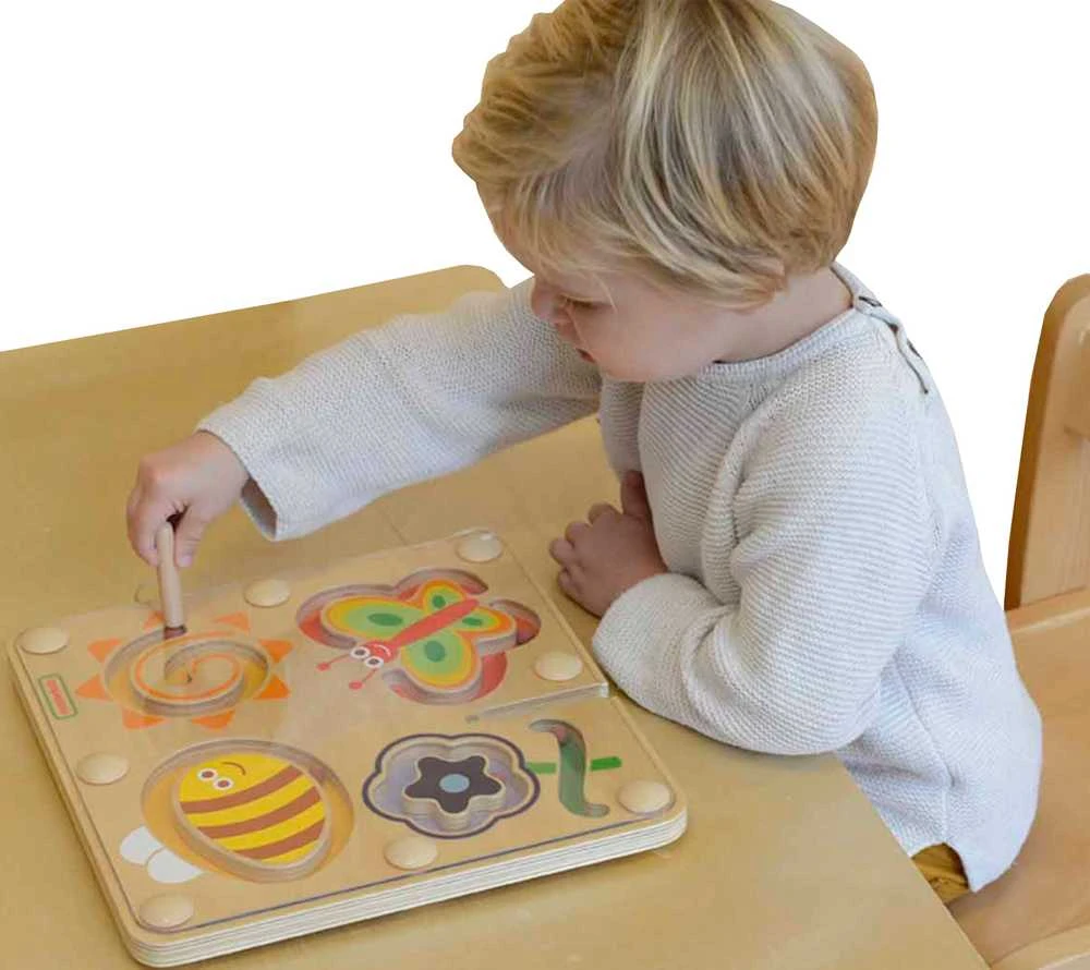 Magnetinis labirintas vabzdžių pasaulis MASTERKIDZ