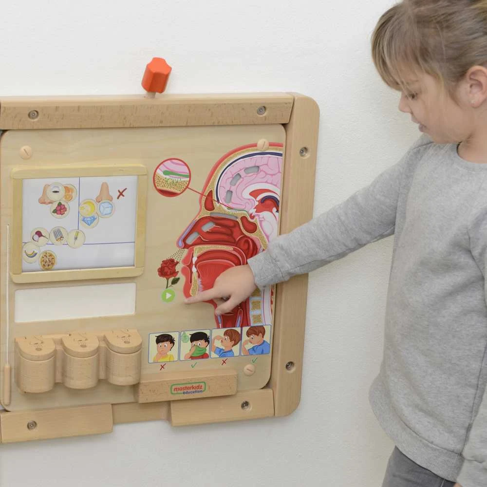 Edukacinė medinė lenta MASTERKIDZ Uoslės pojūtis