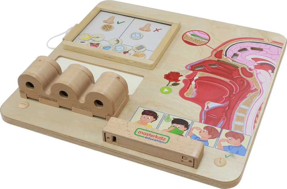 Edukacinė medinė lenta MASTERKIDZ Uoslės pojūtis