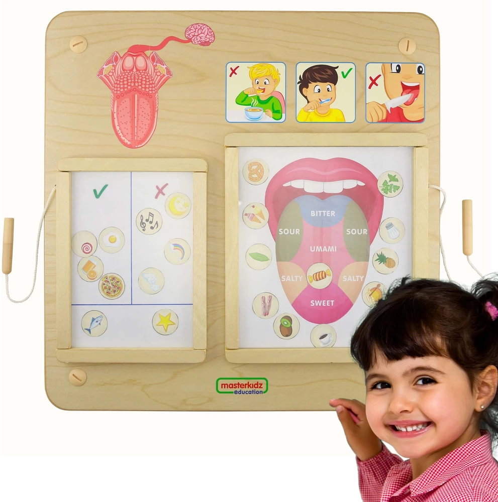 Edukacinė lenta Skonio pojūtis Montessori MASTERKIDZ