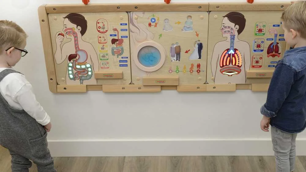 Edukacinė lenta Virškinimo sistema Montessori MASTERKIDZ