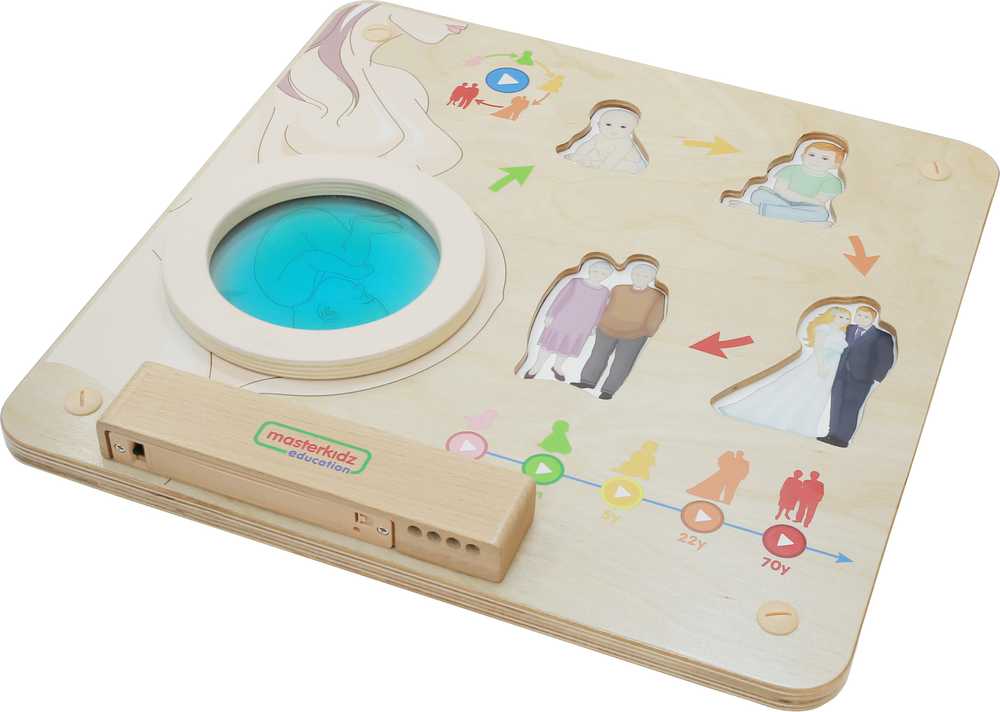 MASTERKIDZ Montessori Human Life Cycle Educational Board