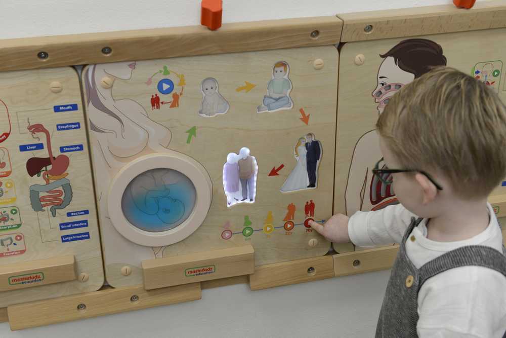 MASTERKIDZ Montessori Human Life Cycle Educational Board