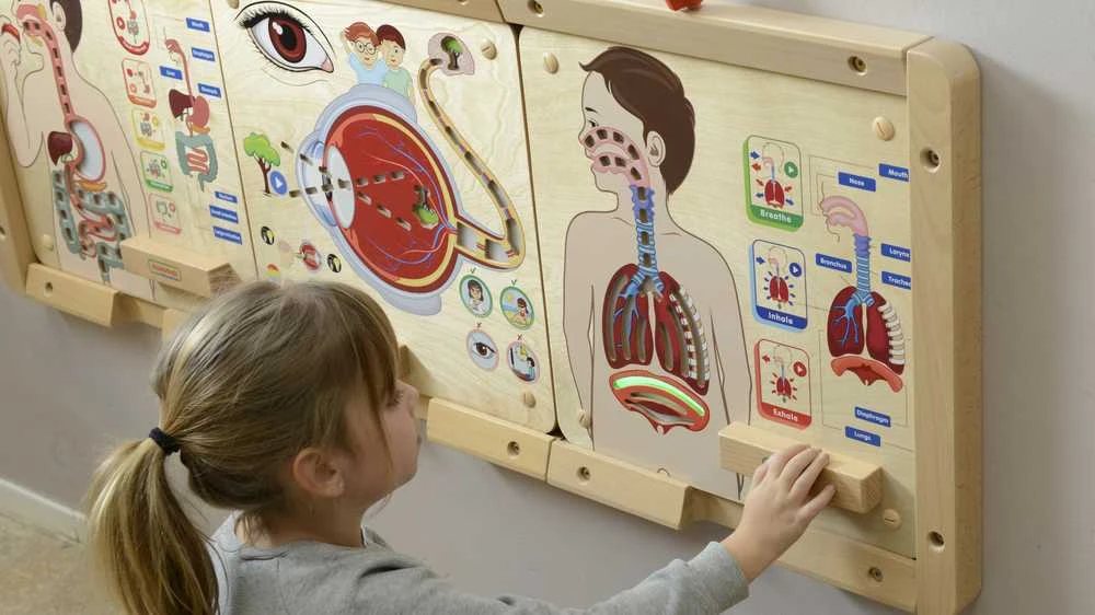 Edukacinė lenta Kvėpavimo sistema Montessori MASTERKIDZ