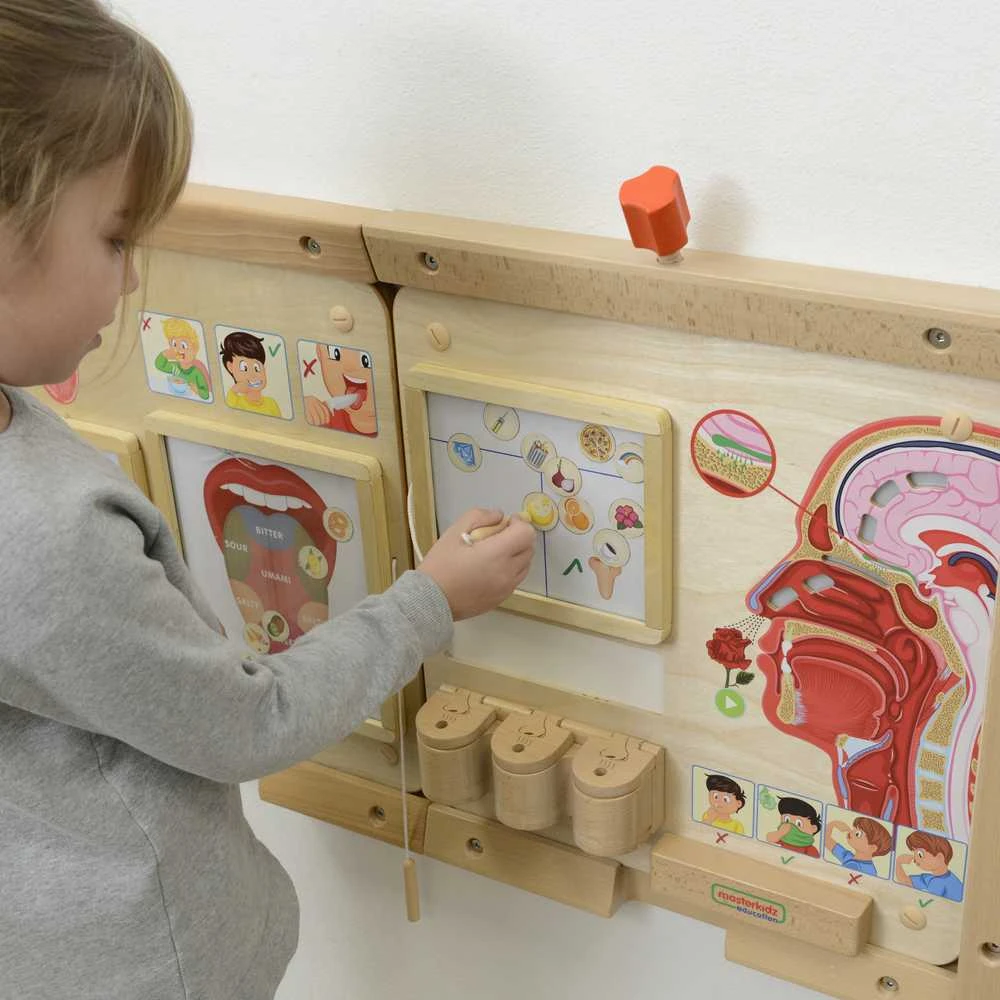Edukacinė medinė lenta MASTERKIDZ Uoslės pojūtis