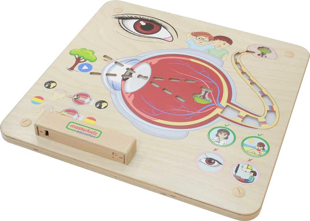 Edukacinė lenta Regos pojūtis Montessori MASTERKIDZ