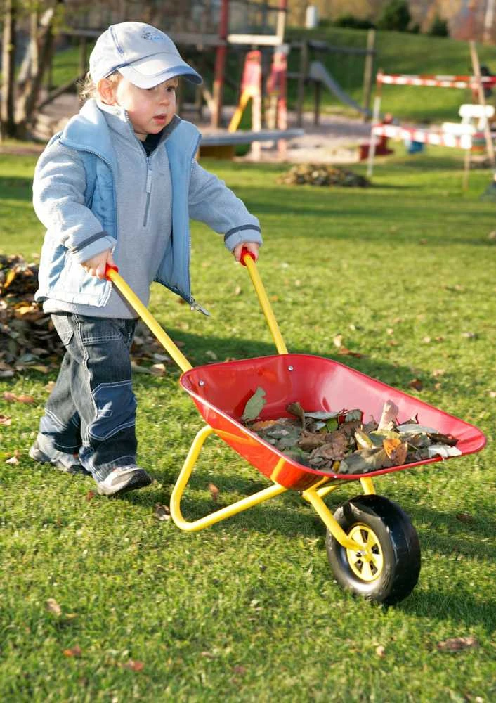 Rolly Toys Metalinė vaikų tarka raudona 25 kg talpa