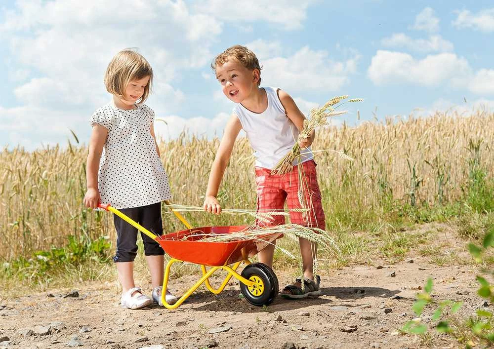 Rolly Toys Metalinė vaikų tarka raudona 25 kg talpa