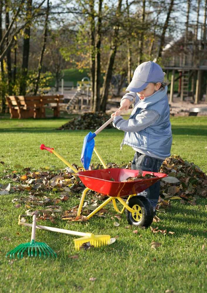 Rolly Toys Metalinė vaikų tarka raudona 25 kg talpa