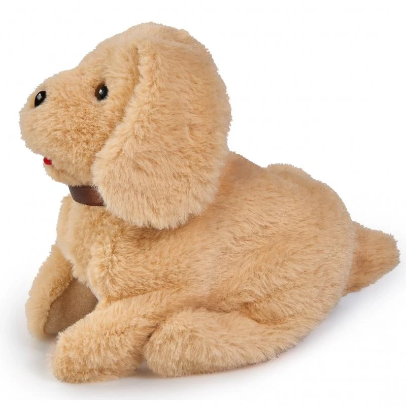 Simba šuo Chi Chi Love Somersault šuniukas