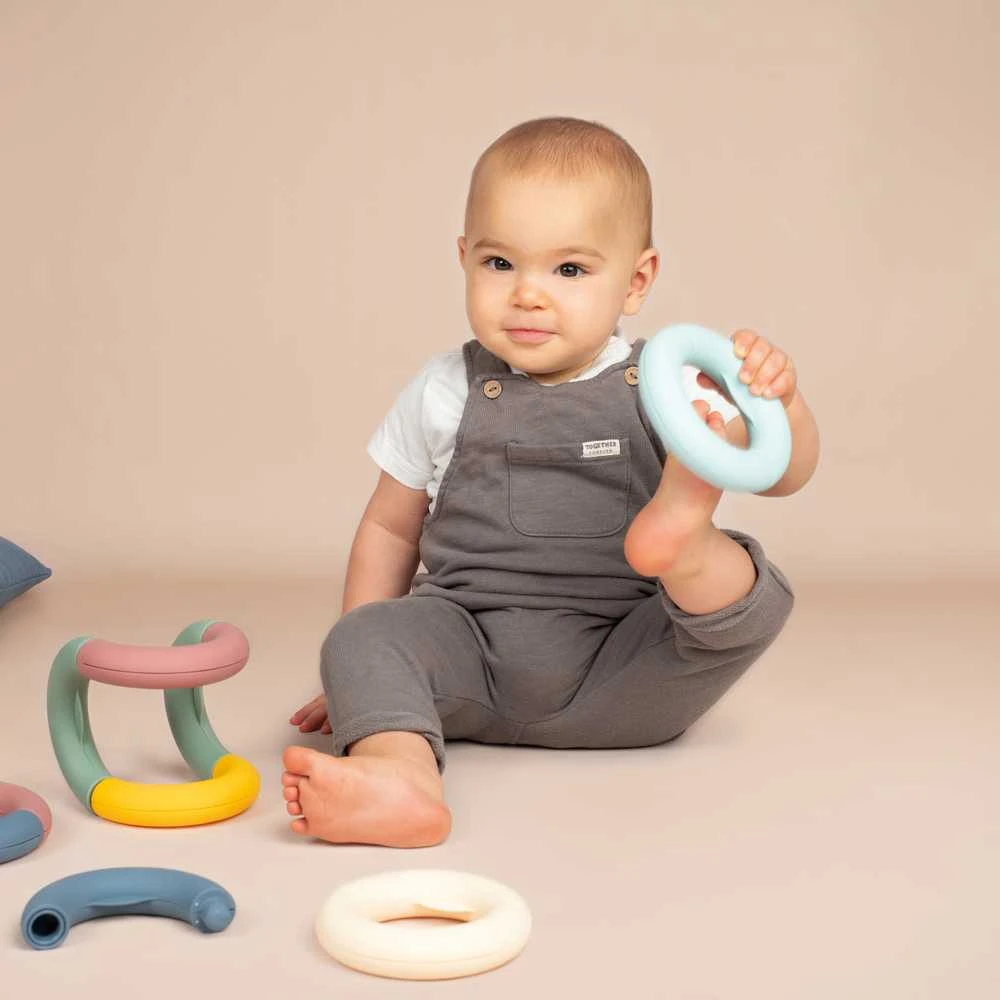 Dėlionė Smoby Little Education Rings Pagrindinė tema vaikams 12 elementų
