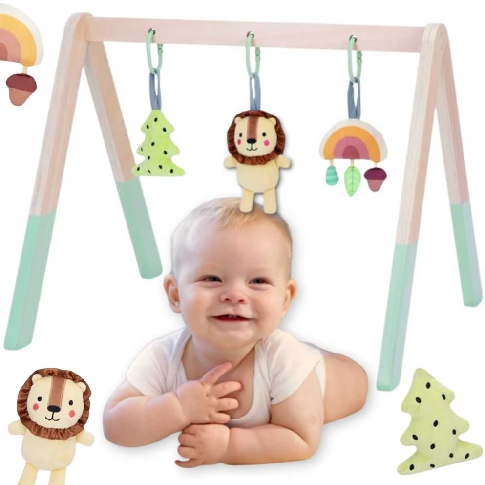 Tooky Toys Lavinamasis stovas kūdikiams Tooky Toy Baby Gym