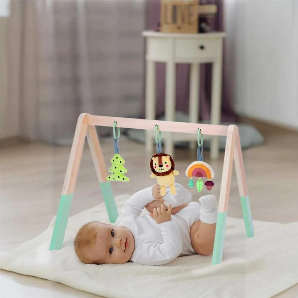 Tooky Toys Lavinamasis stovas kūdikiams Tooky Toy Baby Gym