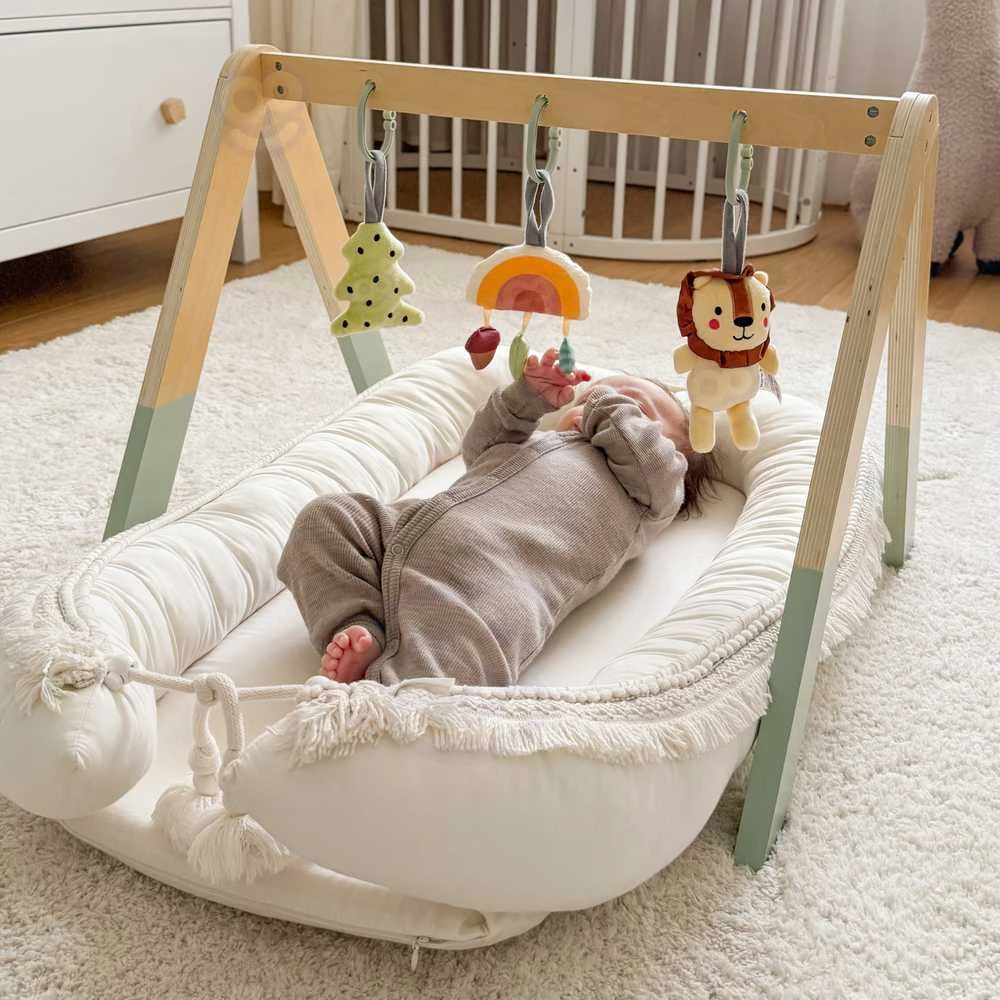 Tooky Toys Lavinamasis stovas kūdikiams Tooky Toy Baby Gym