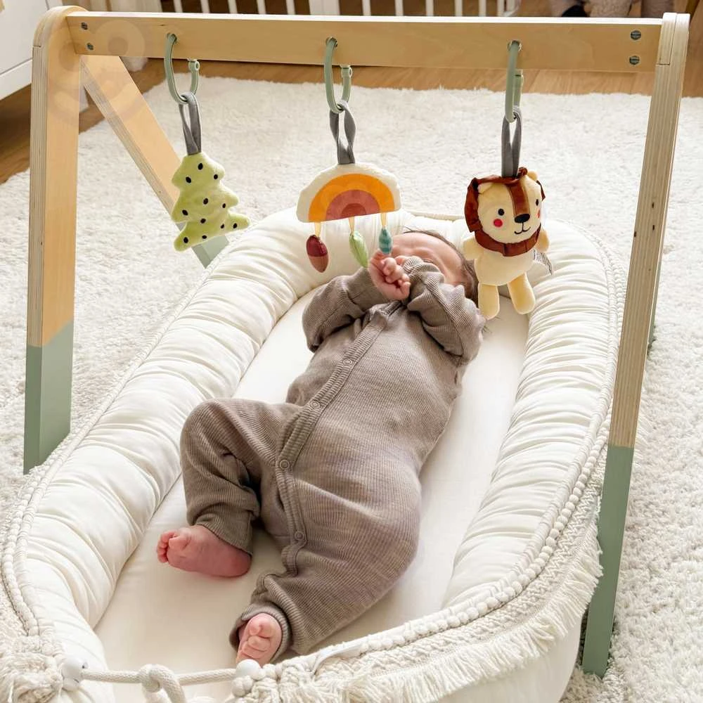 Tooky Toys Lavinamasis stovas kūdikiams Tooky Toy Baby Gym