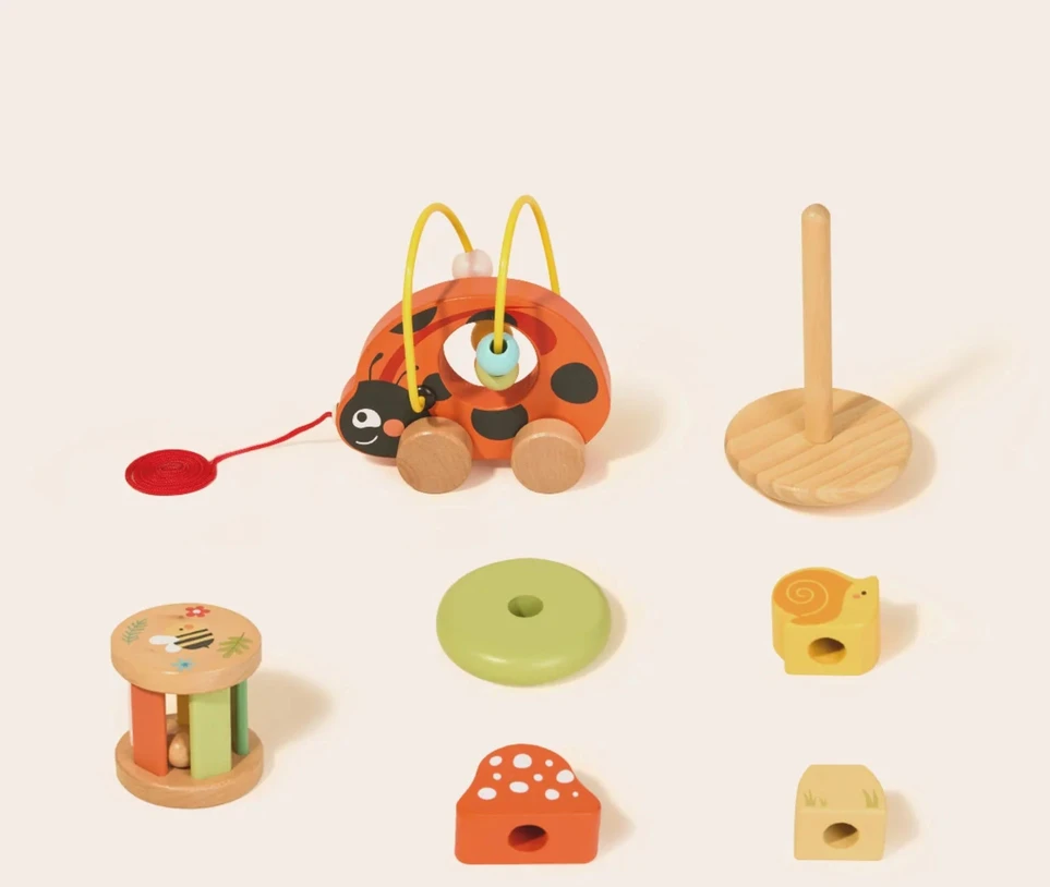 Tooky Toys TOOKY TOY 3in1 lavinamasis žaidimų rinkinys Boružėlė