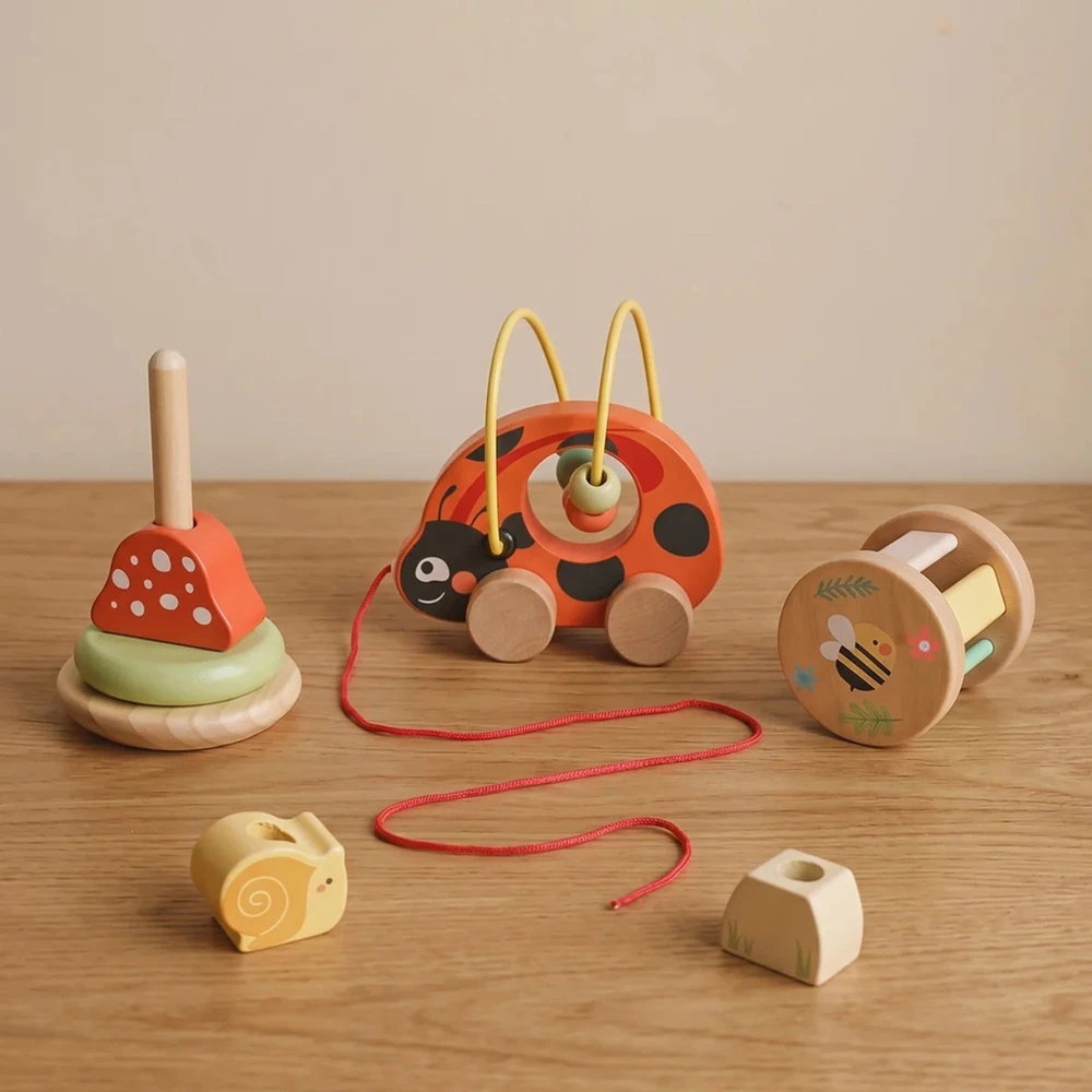 Tooky Toys TOOKY TOY 3in1 lavinamasis žaidimų rinkinys Boružėlė