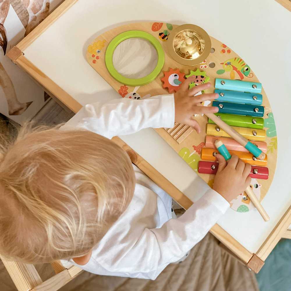 Tooky Toys Paimtas žaislinis daugiafunkcinis instrumentas Muzikinis centras ksilofonas Tarka trębek būgno plokštelė