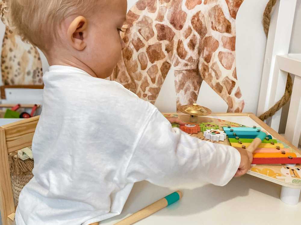 Tooky Toys Paimtas žaislinis daugiafunkcinis instrumentas Muzikinis centras ksilofonas Tarka trębek būgno plokštelė