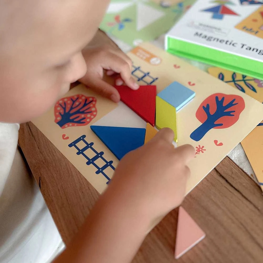 Tooky Toys Medinė dėlionė Tangram TOOKY TOY