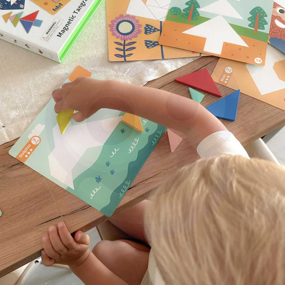 Tooky Toys Medinė dėlionė Tangram TOOKY TOY