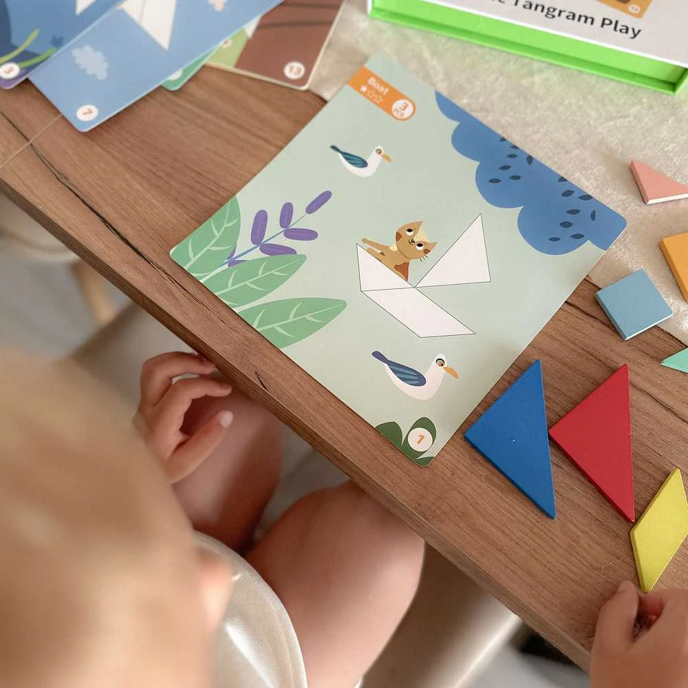 Tooky Toys Medinė dėlionė Tangram TOOKY TOY