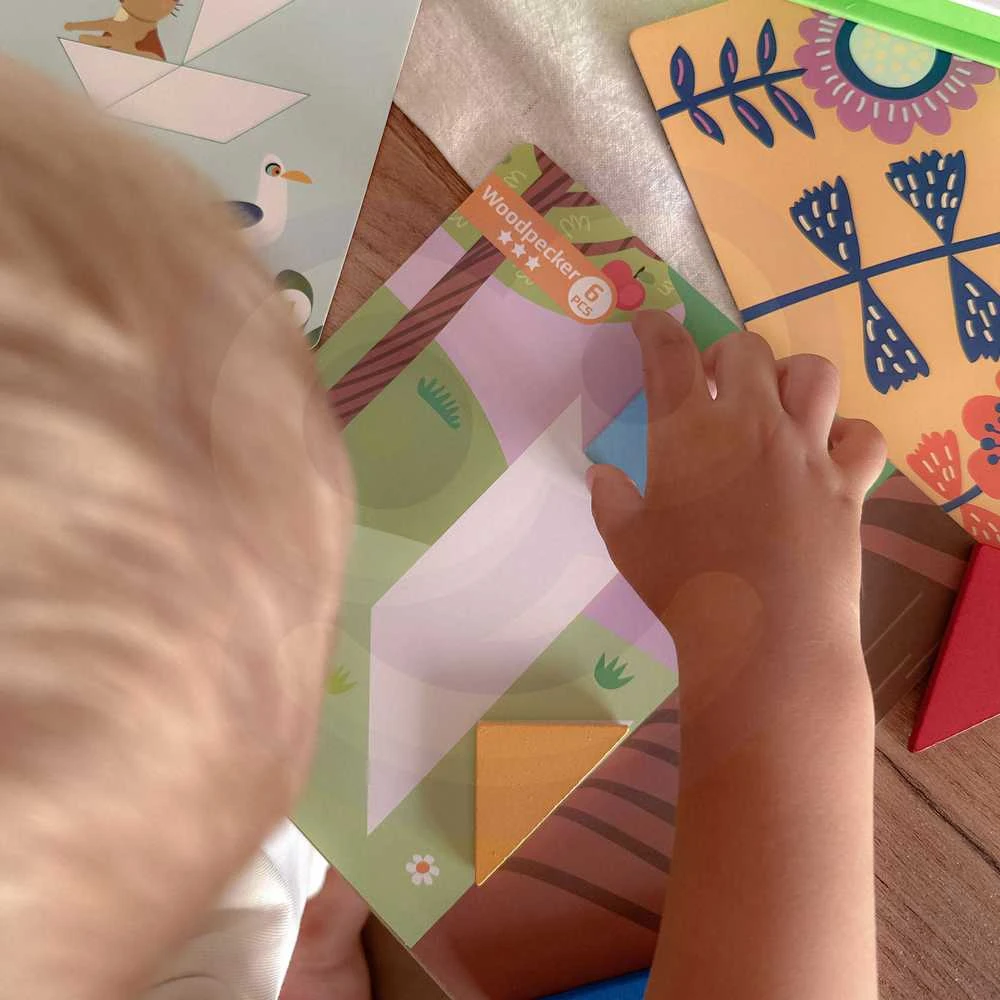 Tooky Toys Medinė dėlionė Tangram TOOKY TOY