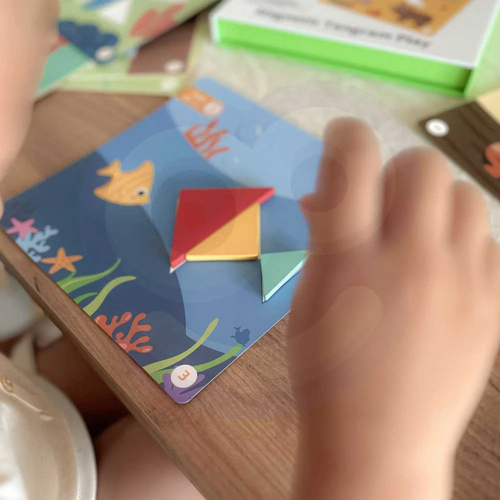 Tooky Toys Medinė dėlionė Tangram TOOKY TOY