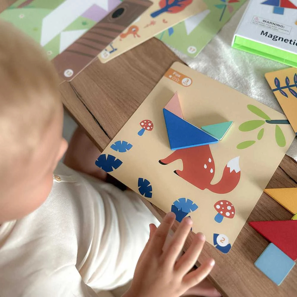 Tooky Toys Medinė dėlionė Tangram TOOKY TOY