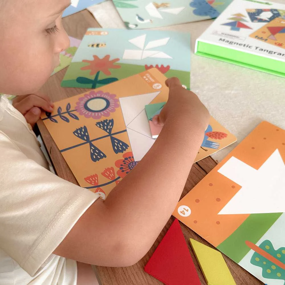 Tooky Toys Medinė dėlionė Tangram TOOKY TOY
