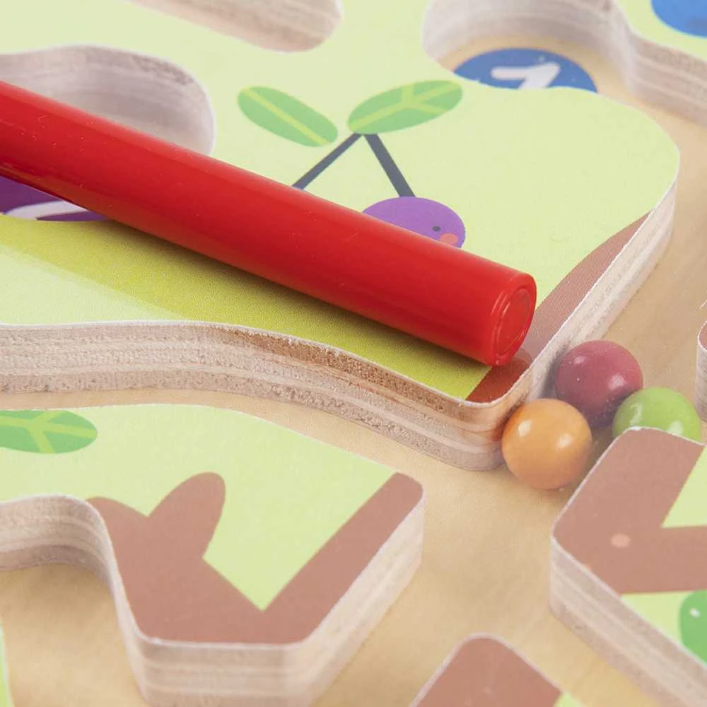 Tooky Toys „Taky Toy Labirynt Magnetic Fruber“ mokymo mokymas